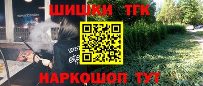 тгк Камышлов