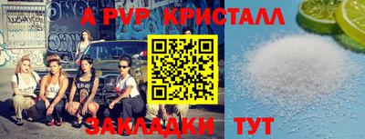 не бодяженный Кингисепп