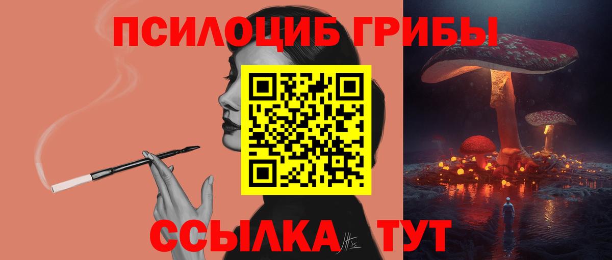 Ленинск-Кузнецкий  наркотики  Вход с VPN  Псилоцибиновые грибы мицелий 